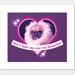 Don't Hate My Coz I'm Beautiful Pug Sassy Funny Pug Dog Design Posters and Art